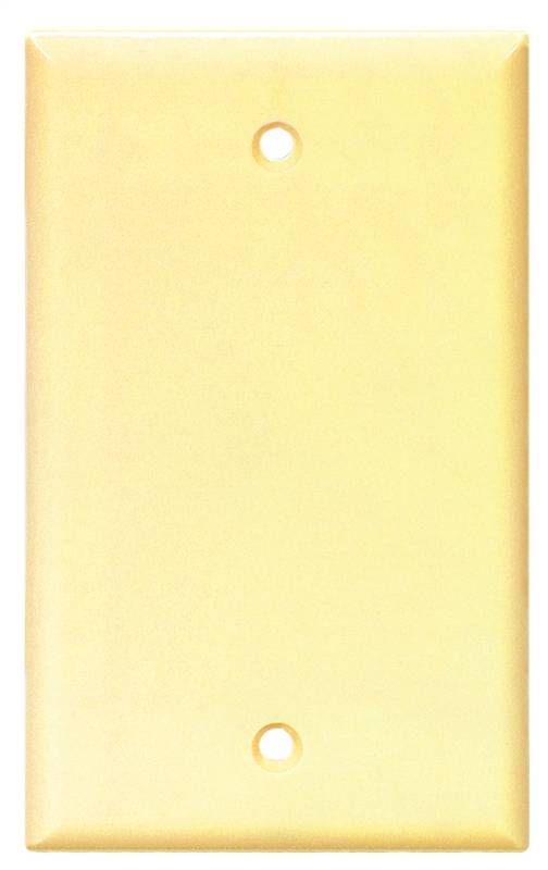 Cooper Blank Plate Ivy