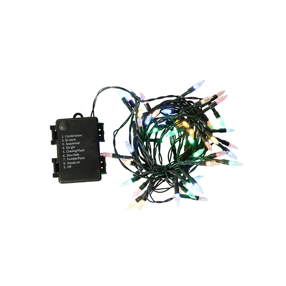 Xmas Light Led Mini Multi Lamp 10ft