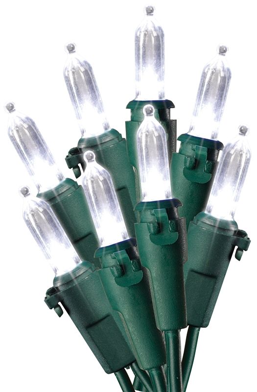 Led Xmas Light Set Wht 50