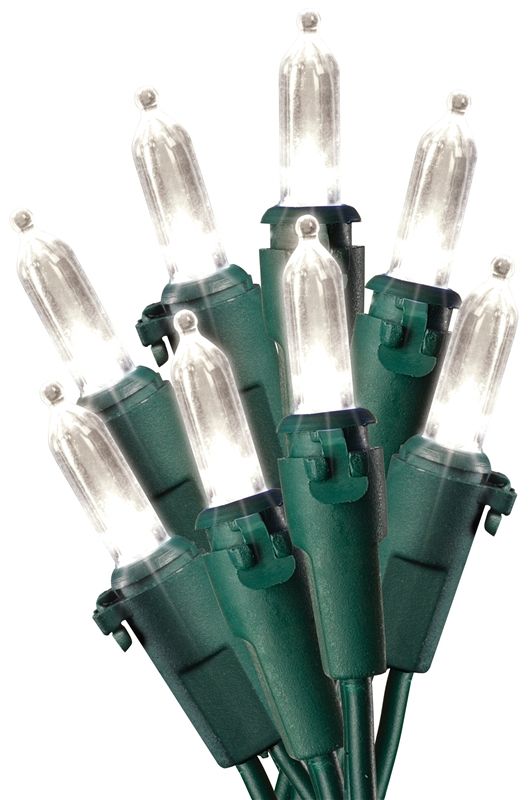 Led Xmas Light Set Warm Wht 50