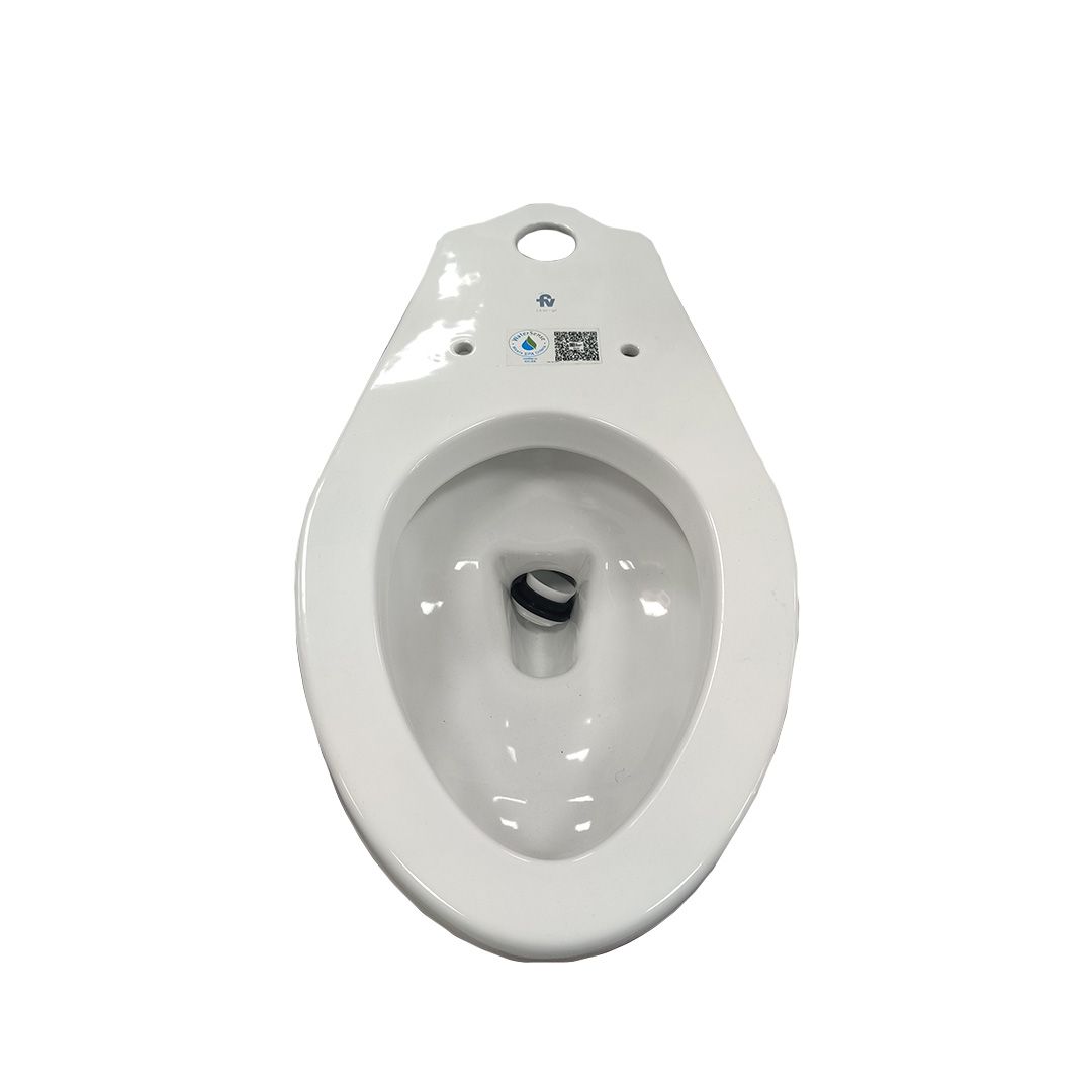 Franz Viegener Ferrara Toilet Quantum Tankless