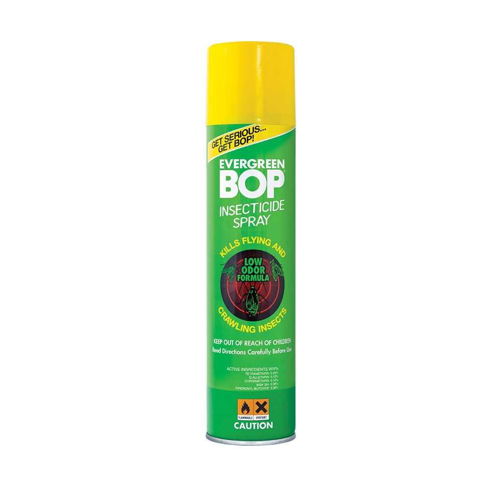 Bop Evergreen 600 Ml