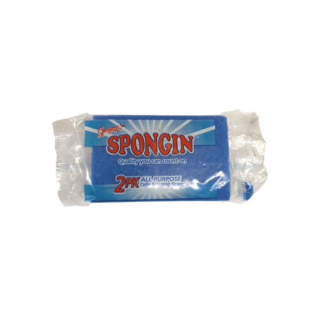 All-Purpose Scouring Sponge 2 Pk 01657