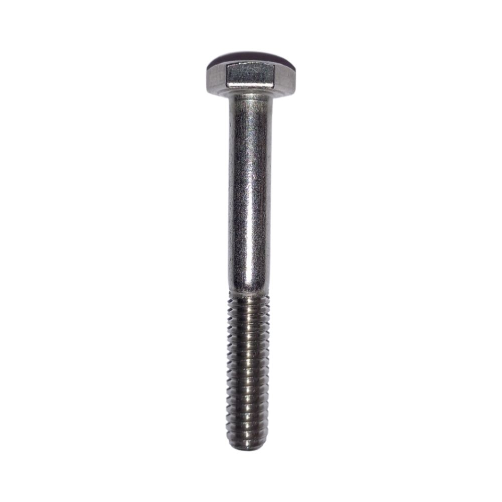 Stainless Steel Hexcap Bolt 1-4-20 X 2 In