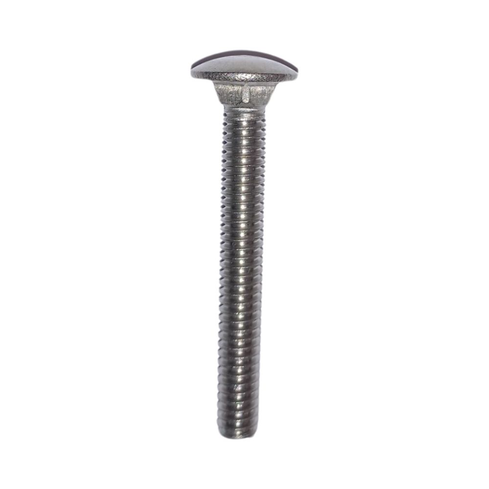 Stainless Steel Carriage Bolt 1-4-20 X 2 In