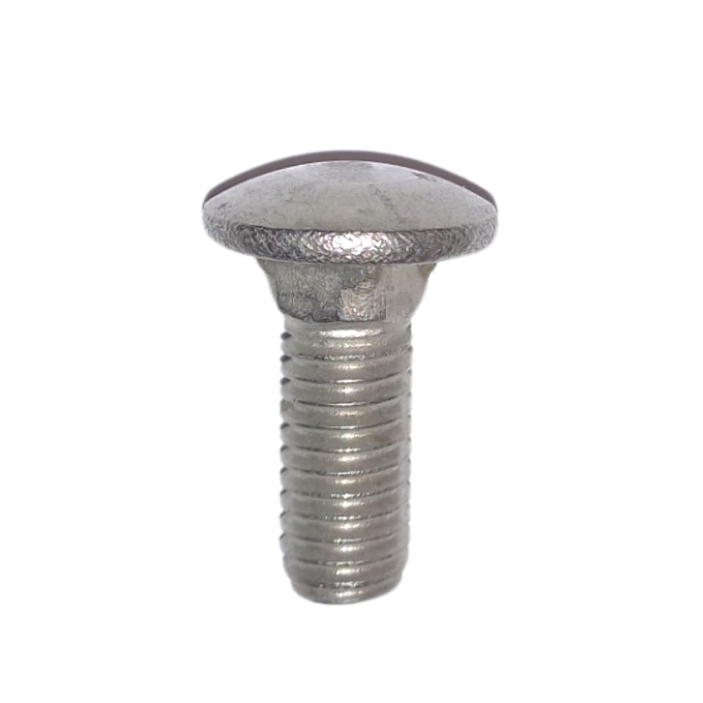 Stainless Steel Carriage Bolt 3-8-16 X 1 In