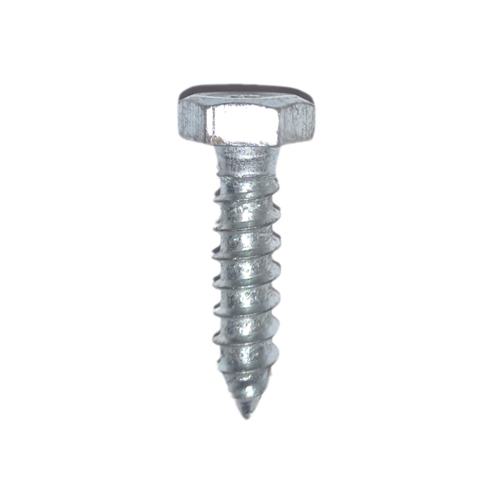 Stainless Steel Lag Bolt 1-4 In X 1 In