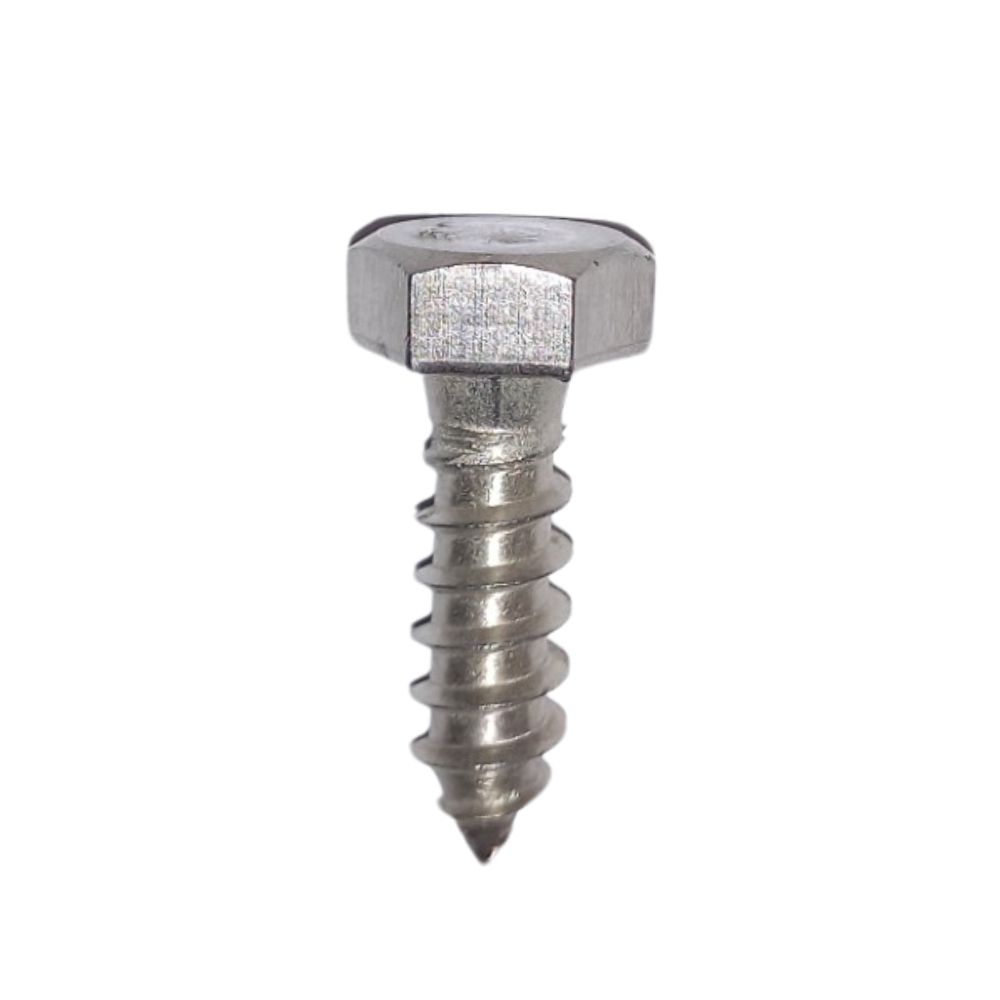 Stainless Steel Lag Bolt 5-16 In X 1 In