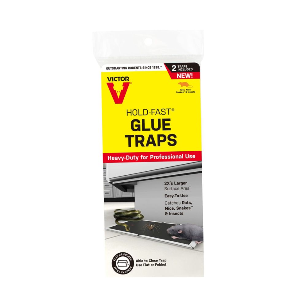 GLUE TRAP MOUSE 2pk VICTOR