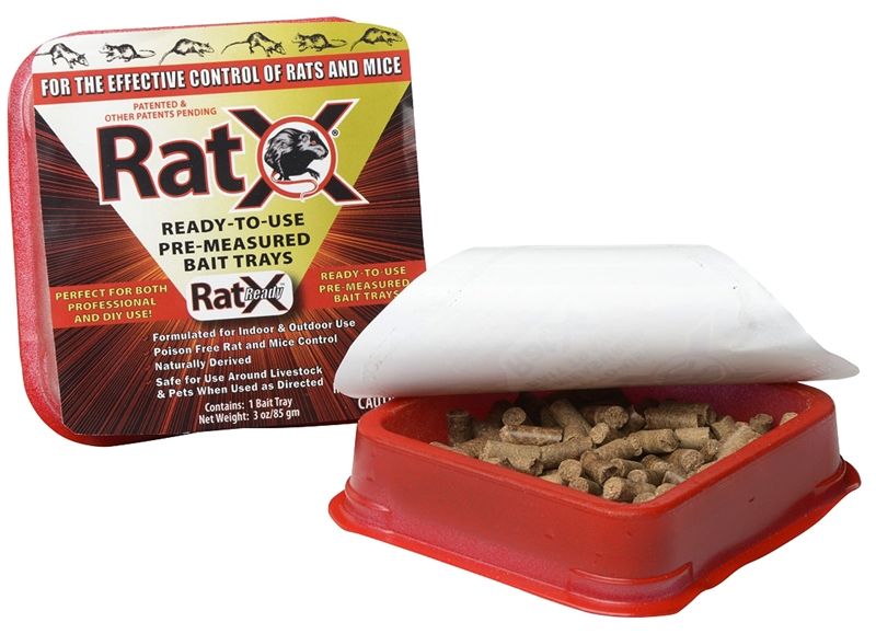 Rat Bait Tray 2 Pk