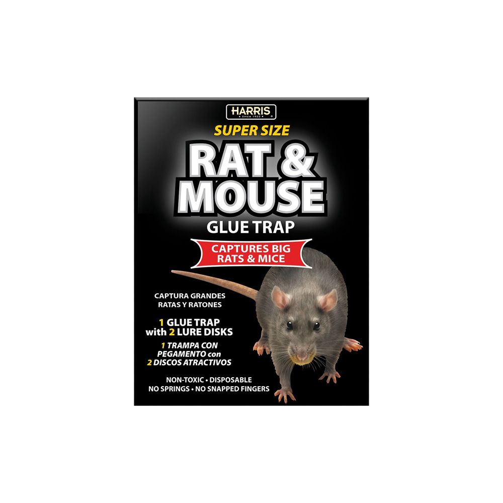 Harris Rat And Mouse Glue Trap BLKRAT-1
