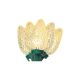 Xmas Light Led C6 Warm /Wht 60CT