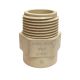  Cpvc Male Adaptor 3/4 In
