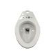  Franz Viegener Ferrara Toilet Quantum Tankless