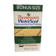  Thompsons Water Sealer 1 Gl Clr