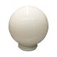  60W Seamless Lamp (Globe Only)