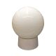  60W Straight Globe Lamp Fitting