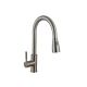 Faucet Kitchen SS BR F005