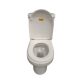 TOILET SB S-TRAP TOP FLU A205S