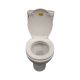 TOILET P-TRAP SIDE FLUSH A8067