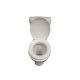 Surebuild P-Trap Top Flush Toilet 1 Each