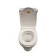 TOILET P-TRAP TOP FLUSH A972