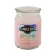 Pink Shoreline Everyday Jar Candle 18oz 1 Each