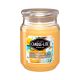 Island Bellini Everyday Jar Candle 18oz 1 Each