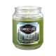 Balsam Forest Everyday Jar Candle 18oz 1 Each