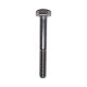  Stainless Steel Hexcap Bolt 1-4-20 X 2 In