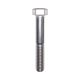  Stainless Steel Hexcap Bolt 1-2-13 X 3 In