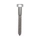  Stainless Steel Lag Bolt 5-16 In X 3 In