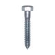  Lag Screw Bolt 0.5 In X 3 In