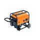 GENERATOR GAS 3000W G820003A